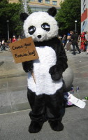 Person in panda costume holding sign: 'Choose your fiancée, boy'