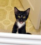 "Open Wide" for the camera!