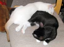 Sleeping together.