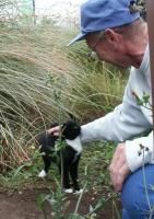 Cat being petted, long view, showing author
