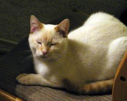 Asleep, with  mood lighting