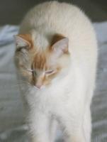 stretching