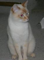 sitting up, looking left