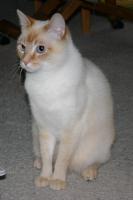 sitting up, looking right