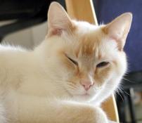 Not winking, still waking up