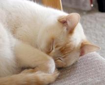 Back asleep again