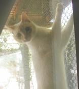 Hanging out on the screen