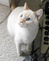 Look at me. I am sooo handsome.
