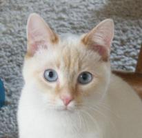 Looking at the camera