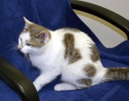 Sitting on chair