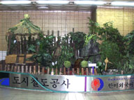 Subway garden display