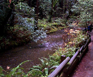 [Brook 2]