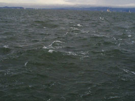 [choppy water]