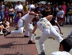 [capoeria demonstration 4]