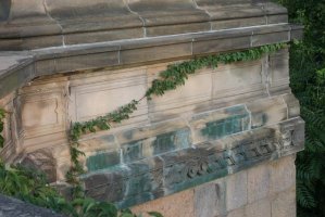 brick wall with ivy
