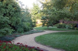 winding road through a park