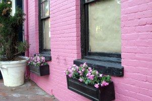 brick wall painted neon pink