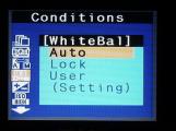 White Balance submenu