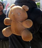 Teddy bear backpack