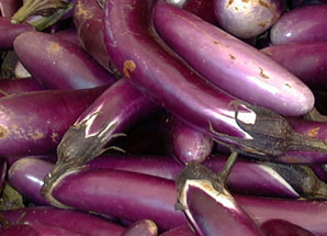 eggplant
