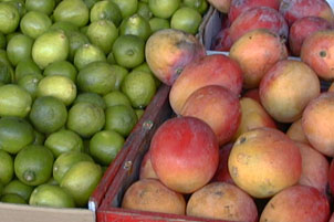 limes and mangos