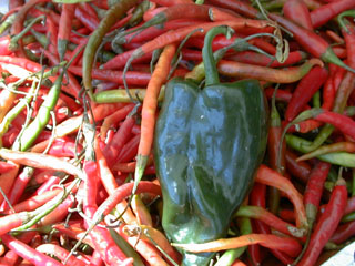 green and red peppers
