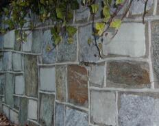 Brick wall with plants