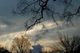 Cloudscape