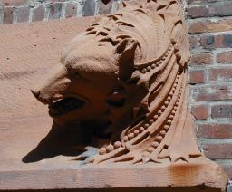 Head of bear