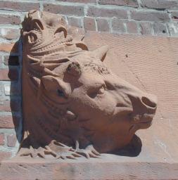 Head of bull