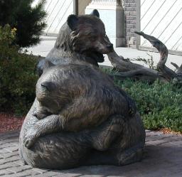 Two bear cubs