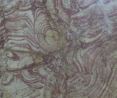 close-up of rose onyx