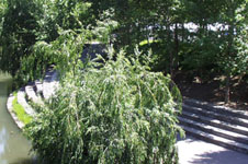 Guadalupe River Walk