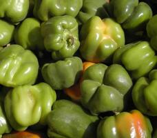 Bell Peppers
