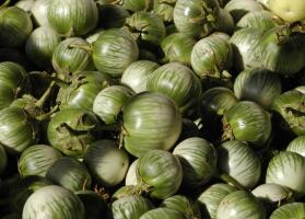 Round Green Vegetable