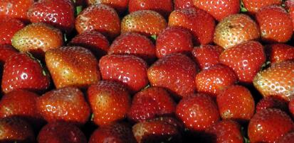 Strawberries