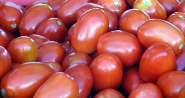 Tomatoes