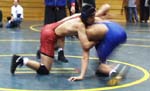 [Live Oak picture 01]