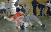 [Live Oak picture 04]