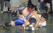 [Live Oak picture 06]