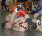 [Live Oak picture 08]