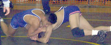 [Live Oak picture 10]
