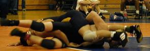 [W. Valley Inv. picture 17]
